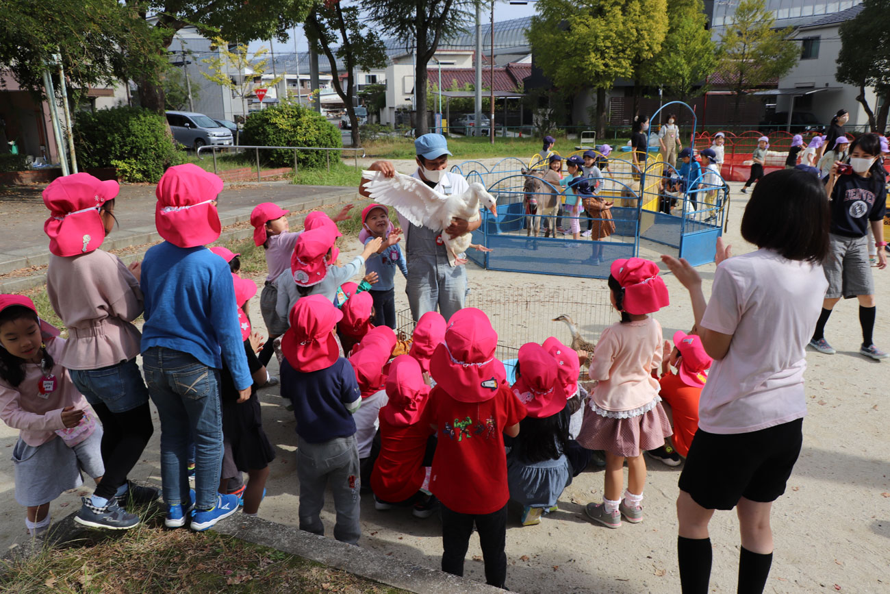 いちご動物園 あいわ幼稚園 名古屋市名東区の幼稚園