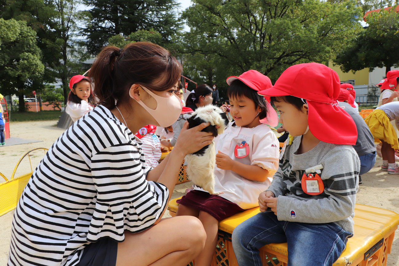 いちご動物園 あいわ幼稚園 名古屋市名東区の幼稚園