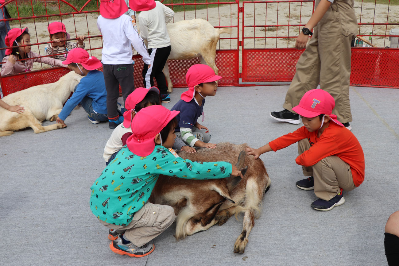 いちご動物園 あいわ幼稚園 名古屋市名東区の幼稚園