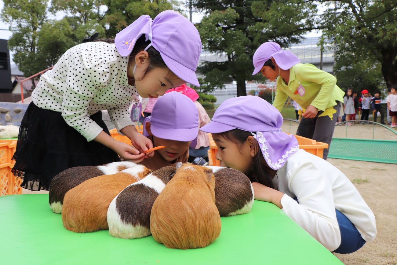 いちご動物園 あいわ幼稚園 名古屋市名東区の幼稚園