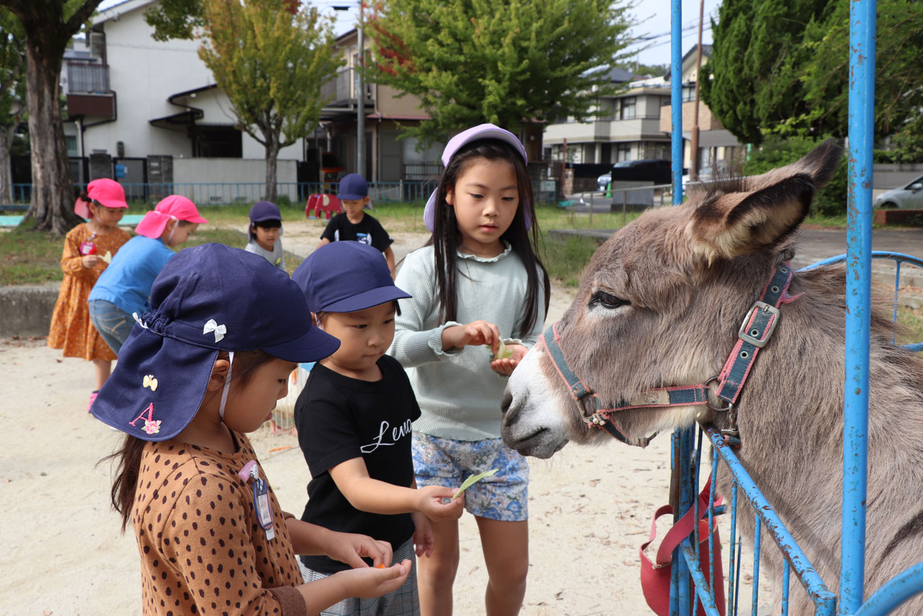 いちご動物園 あいわ幼稚園 名古屋市名東区の幼稚園